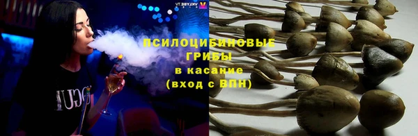 соль курить ск Козловка